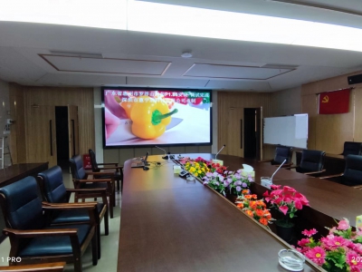 惠州罗浮山国药会议室p1.86小间距LED显示屏完成